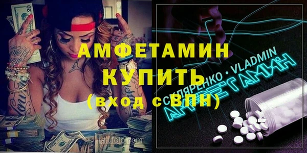 гидра Кодинск
